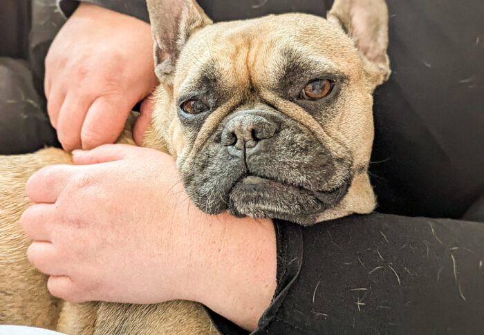 What It’s Like to Be the Spare Human